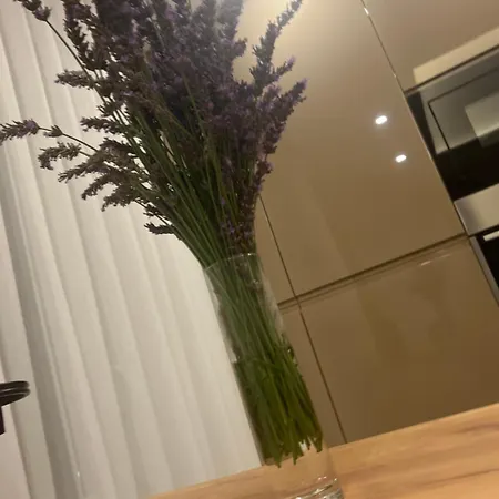 アパート Centar Penthouse