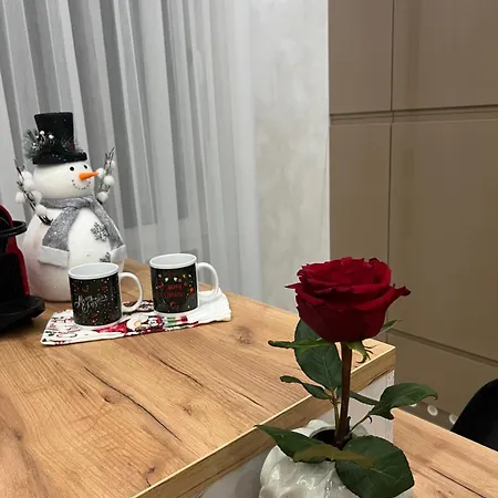 Centar Penthouse * ビイェリナ