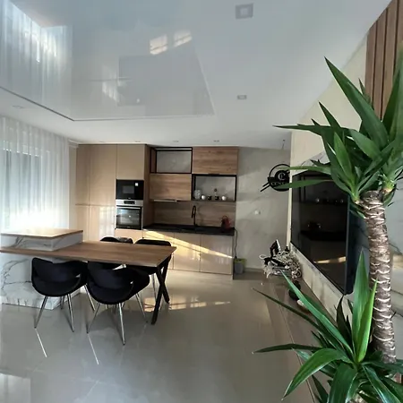 Centar Penthouse アパート ビイェリナ