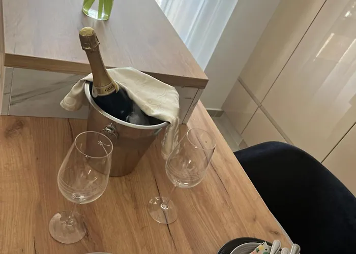 Centar Penthouse بييلينا